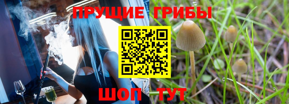 Псилоцибиновые грибы мухоморы Якутск